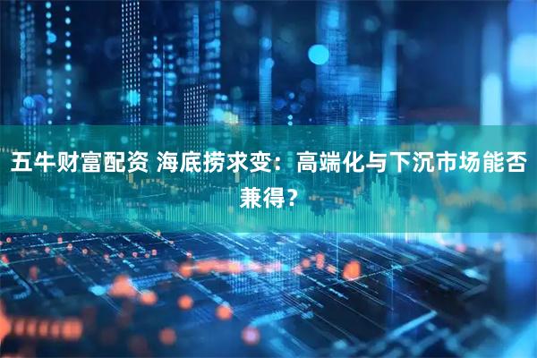 五牛财富配资 海底捞求变：高端化与下沉市场能否兼得？