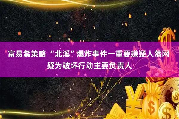 富易螽策略 “北溪”爆炸事件一重要嫌疑人落网 疑为破坏行动主要负责人