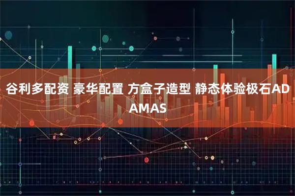 谷利多配资 豪华配置 方盒子造型 静态体验极石ADAMAS